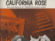 california-rose-from-the-paramount-picture-son-of-paleface-special-picture-release_cover