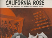 california-rose-from-the-paramount-picture-son-of-paleface-special-picture-release_cover